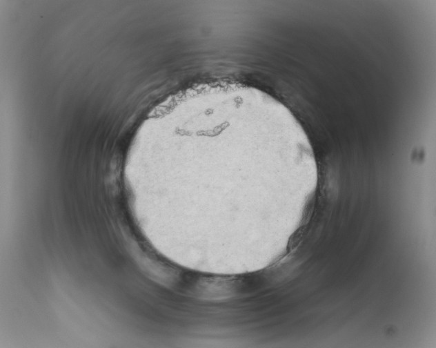 X0000111680082200908281145