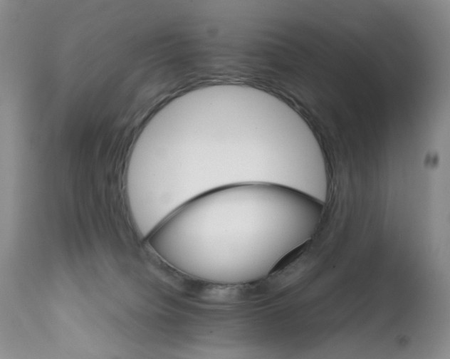 X0000111680084200908281145