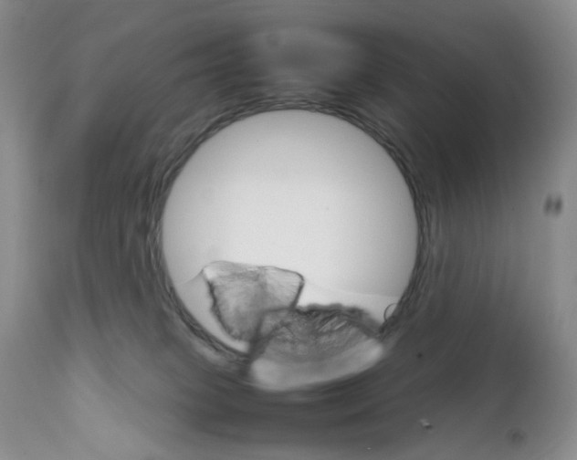 X0000111680085200908281145