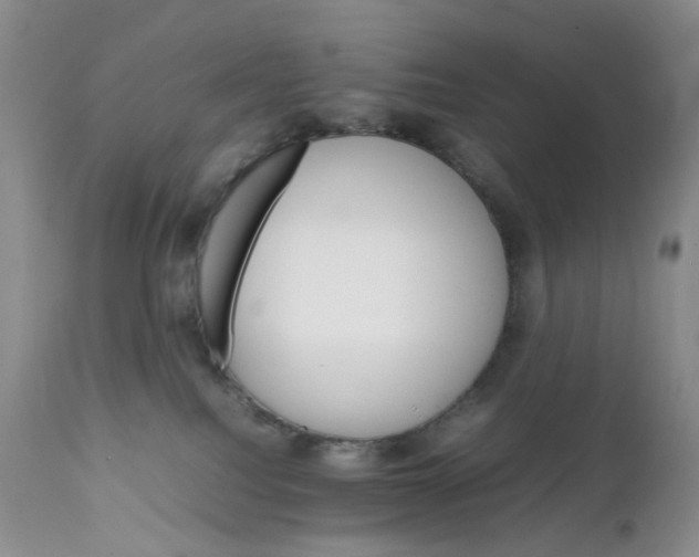 X0000111680088200908281146