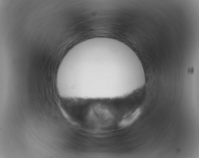 X0000111680089200908281146