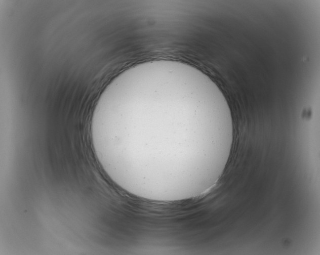 X0000111680090200908281146