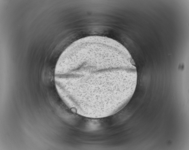 X0000111680091200908281146