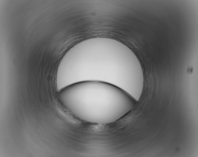 X0000111680092200908281146