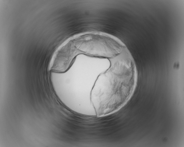 X0000111680093200908281146