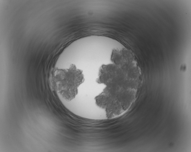 X0000111680094200908281146