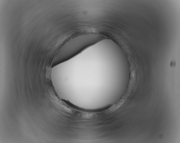 X0000111680096200908281146