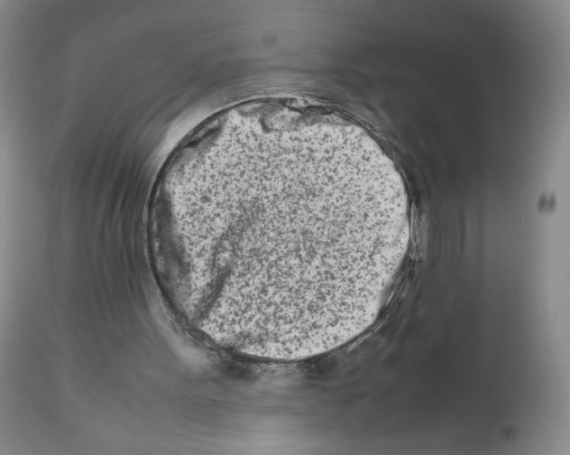 X0000111680099200908281145