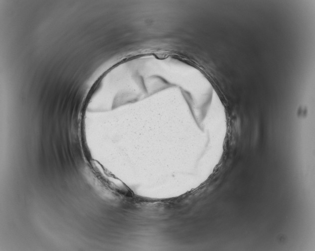 X0000111680100200908281145