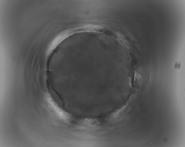 X0000111680101200908281145