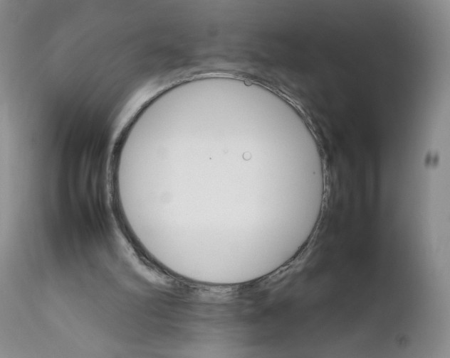 X0000111680102200908281145