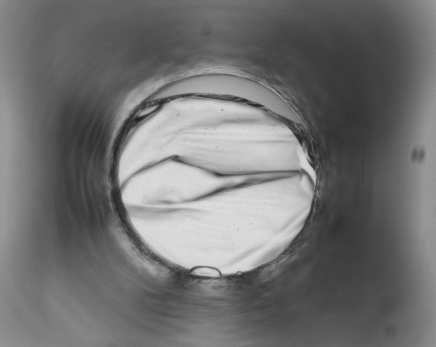 X0000111680104200908281145