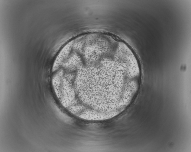 X0000111680105200908281145