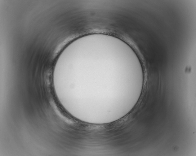 X0000111680106200908281145