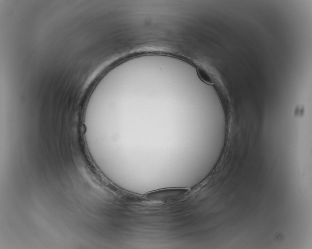 X0000111680108200908281145