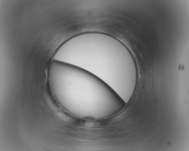 X0000111680109200908281145