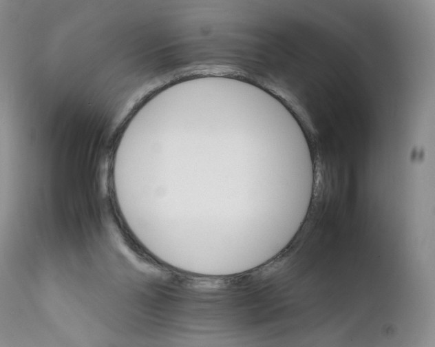 X0000111680110200908281145