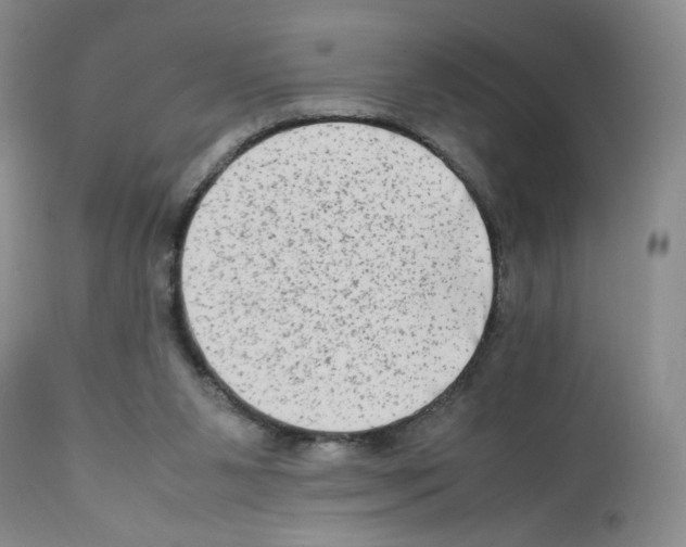 X0000111680111200908281145