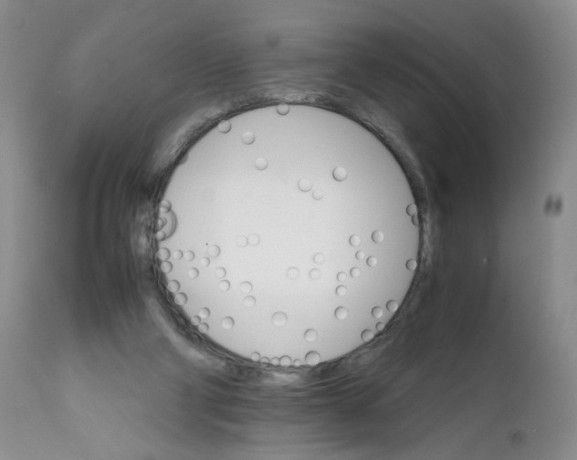 X0000111680114200908281145