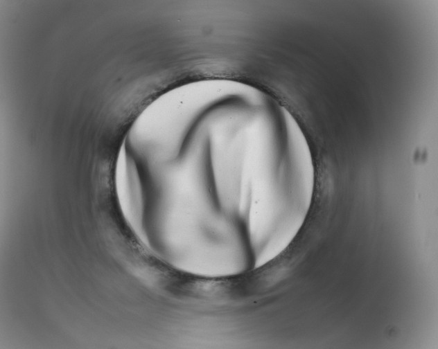 X0000111680117200908281145