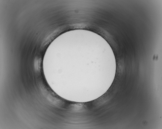 X0000111680118200908281145