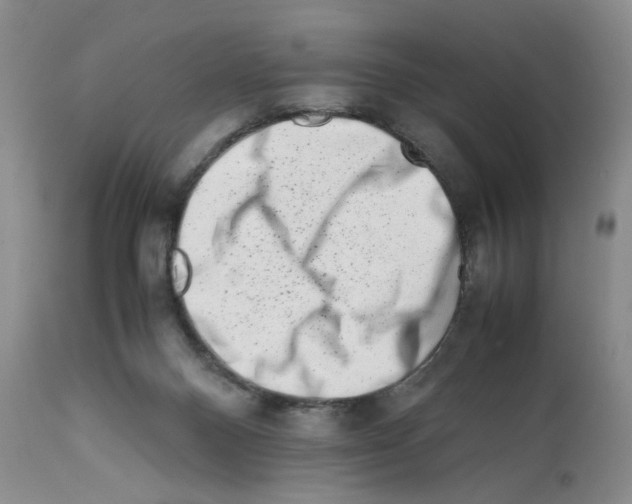 X0000111680120200908281144