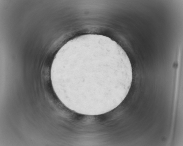 X0000111680123200908281144