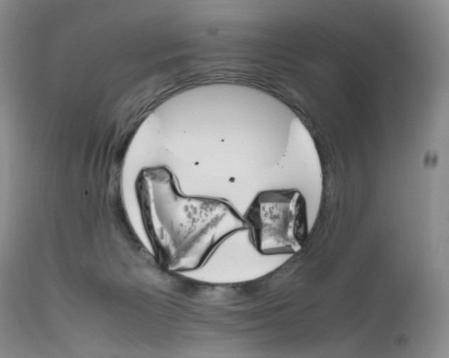 X0000111680125200908281144