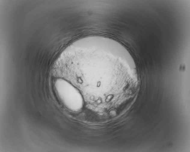 X0000111680127200908281144