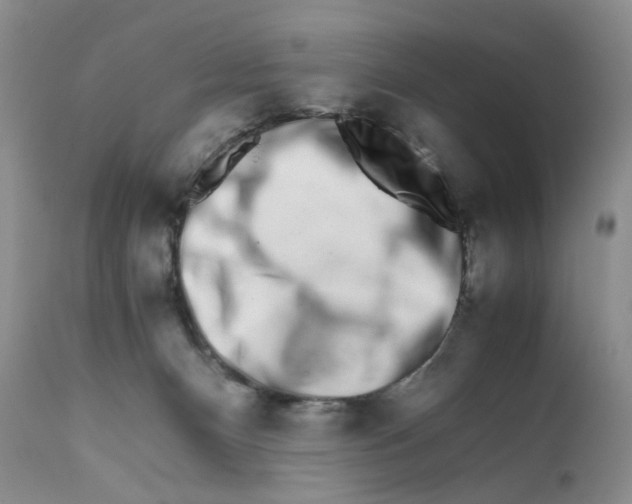 X0000111680128200908281144