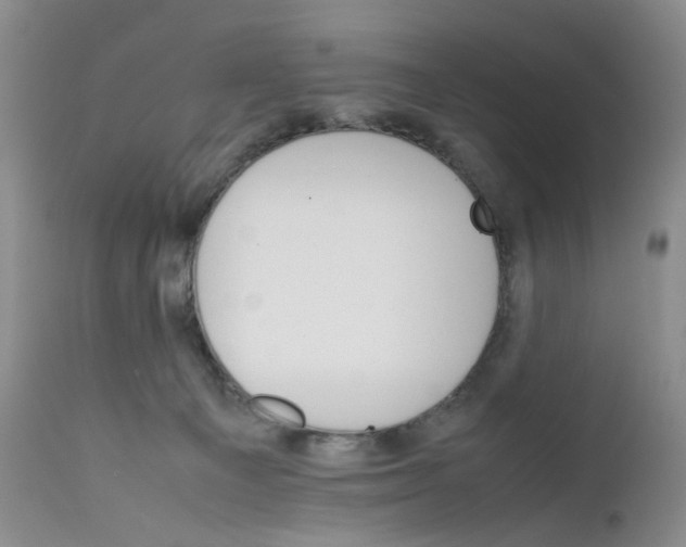 X0000111680129200908281144