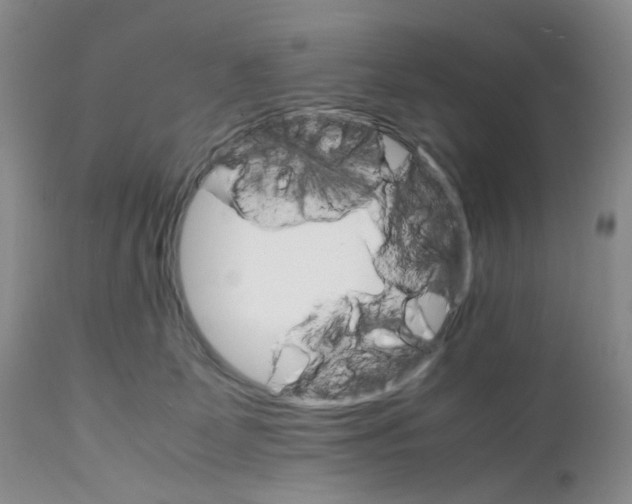 X0000111680131200908281144