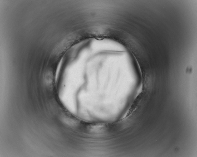 X0000111680132200908281144