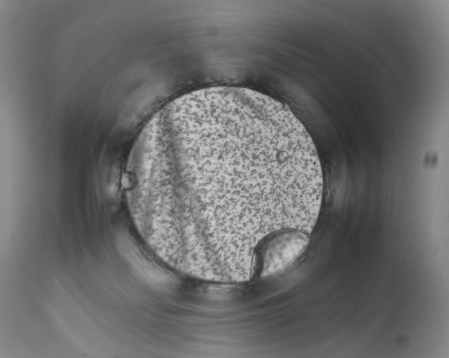 X0000111680134200908281144