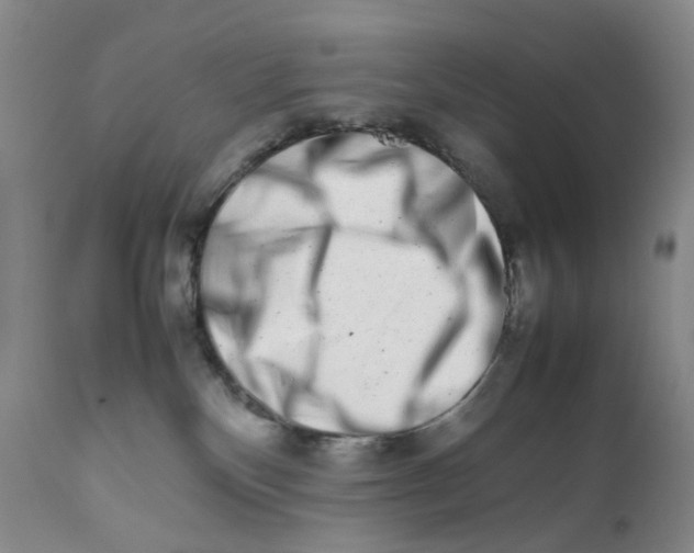 X0000111680136200908281144