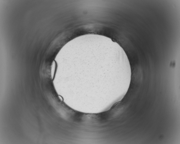 X0000111680137200908281144