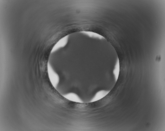 X0000111680139200908281144