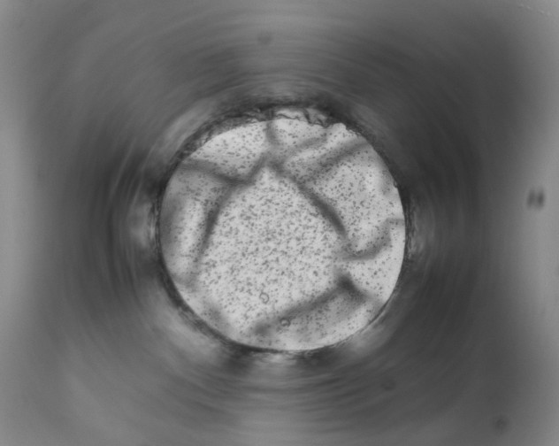 X0000111680140200908281144