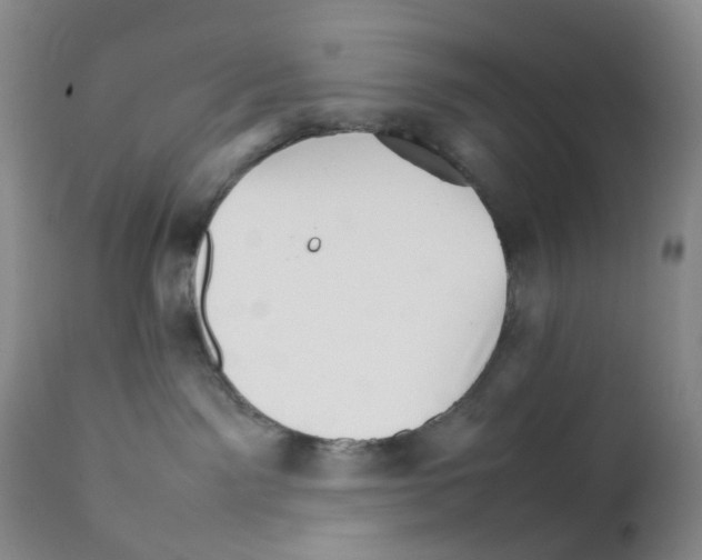 X0000111680141200908281144