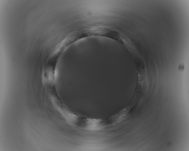 X0000111680143200908281144