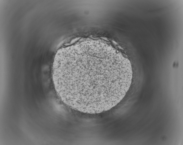 X0000111680144200908281144