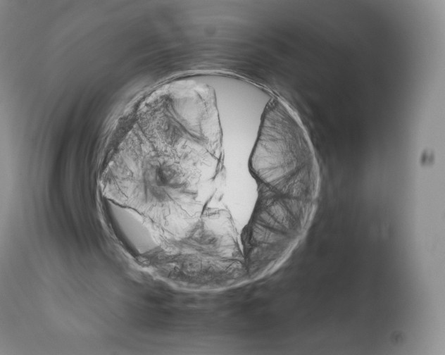 X0000111680145200908281143