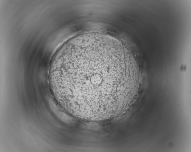 X0000111680146200908281144