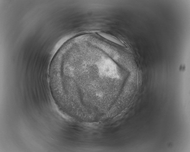 X0000111680147200908281144