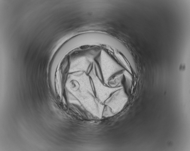 X0000111680148200908281144