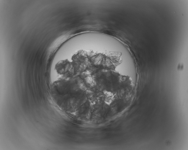 X0000111680149200908281144