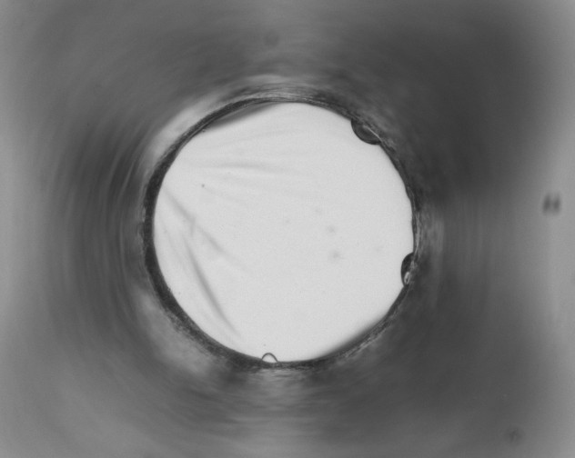 X0000111680150200908281144