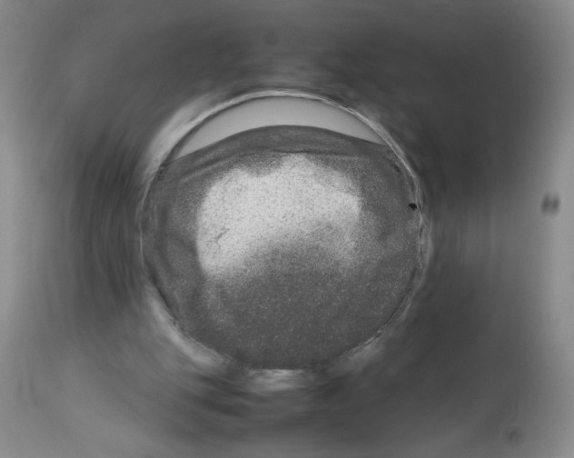 X0000111680151200908281144