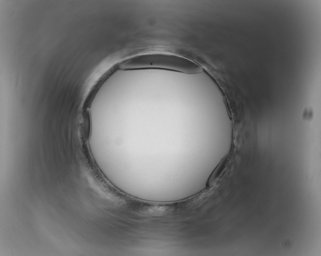 X0000111680152200908281144