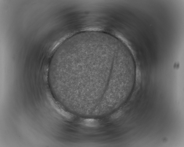 X0000111680153200908281144